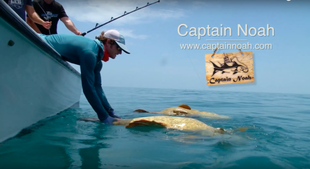 Sanibel Fishing Charters