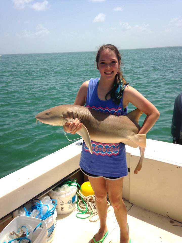 Sanibel Fishing Charters