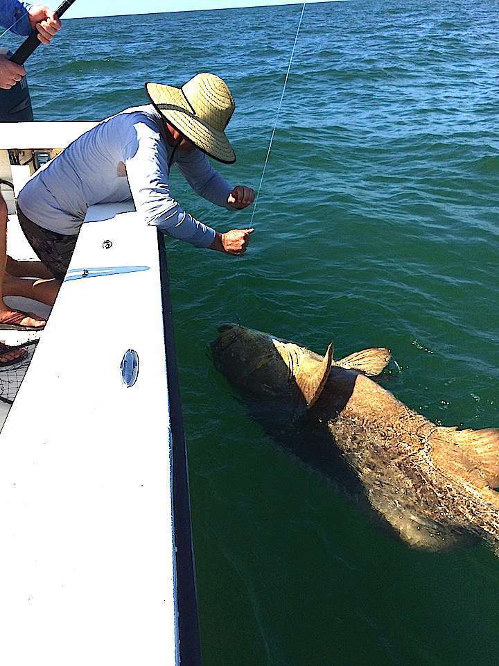 Sanibel Fishing Charters